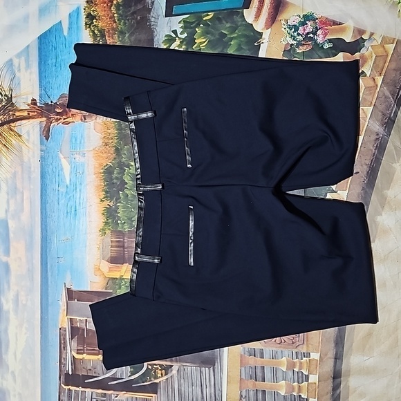 Ann Taylor Pleated Dress Pants Size 4 NWT - Picture 5 of 6